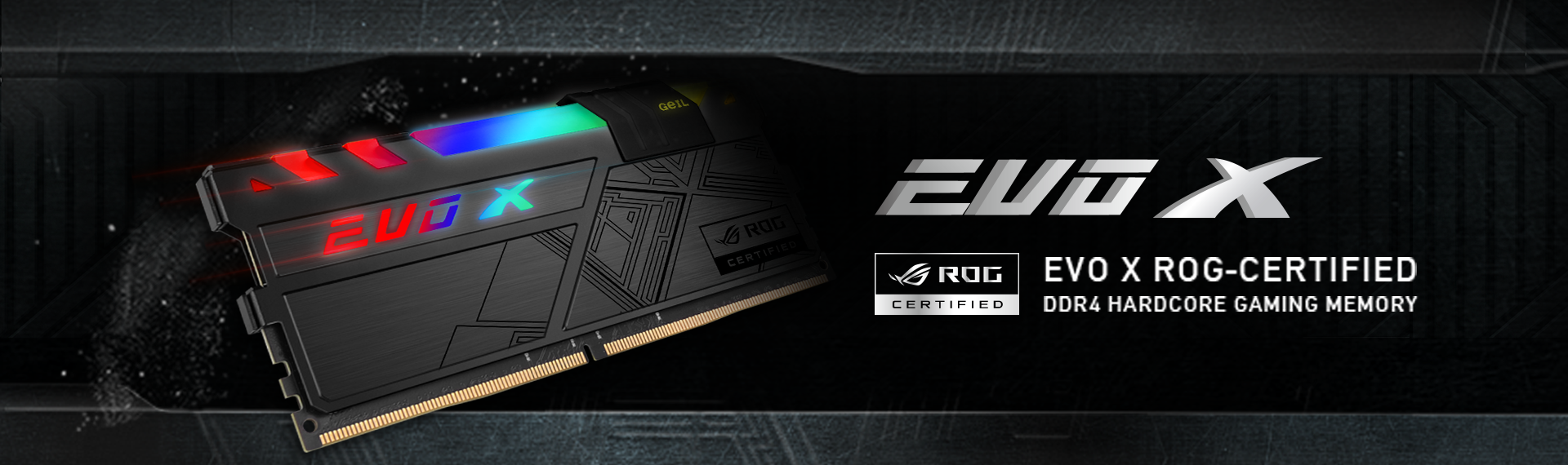 EVO X ROG-Certified